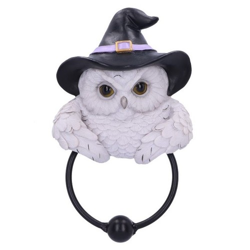 Snowy owl magic door - snowy, knocker