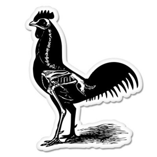 Rooster skeleton car - skeleton,
