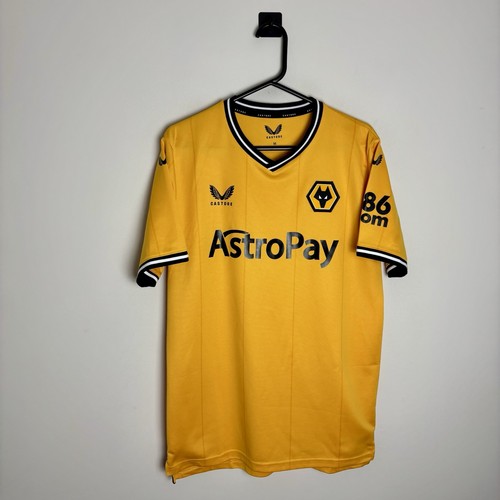 Wolverhampton wanderers wolves - wanderers,
