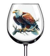 12x Colourful Hunting Eagle