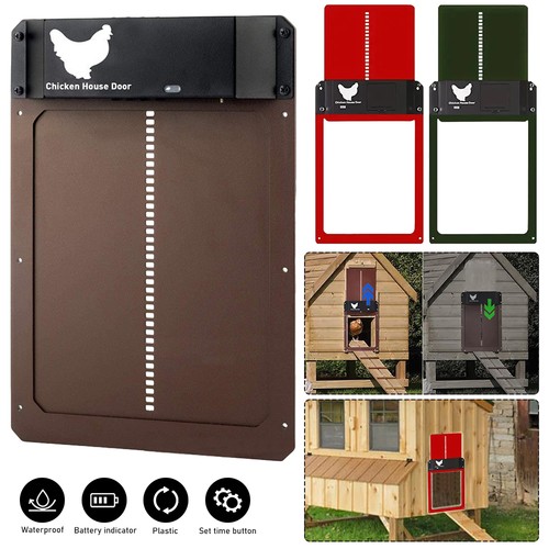 Automatic chicken coop door - chicken,