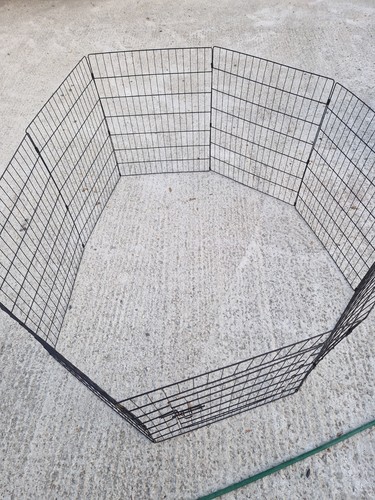 Section puppy animal - animal, pen