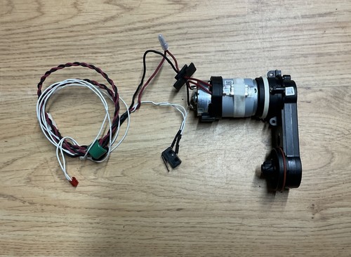 Floor head motor belt - belt, only