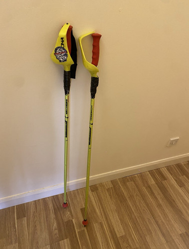 Elan downhill skiing ski poles - elan,