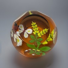 William Manson Rare Butterfly