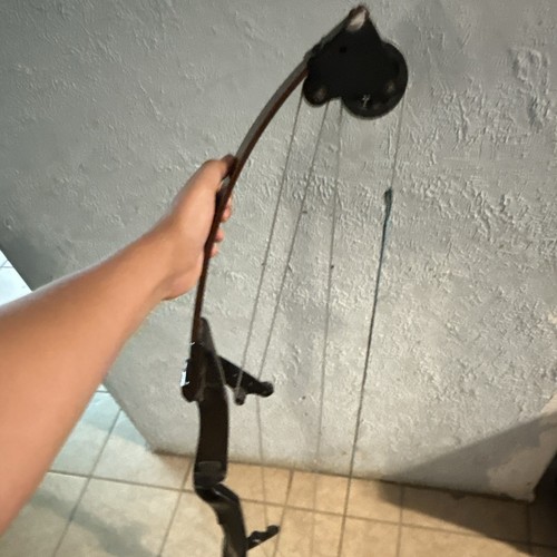 Bear archery whitetail hunter - bear,