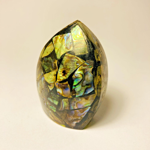Vintage paua ormer abalone - paua,