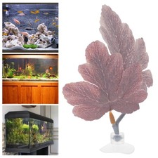  Axolotl Tank Accessories