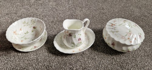 Wedgwood campion bone - wedgwood,
