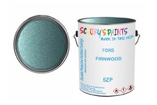 Classic Paint For Ford Escort