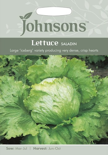Johnsons iceberg lettuce seeds - johnsons,