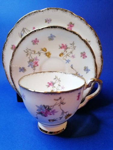 Royal stafford violet - stafford,