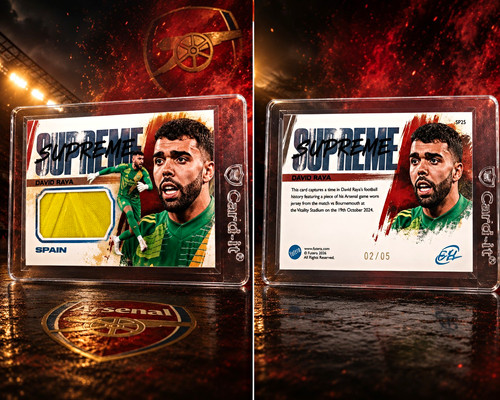 Futera supreme david - raya, sp25