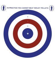 Bisley Air Rifle Practice