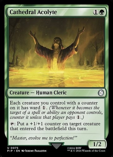 Cathedral acolyte commander - cathedral,