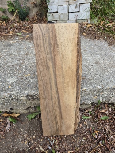 Large english walnut hardwood - english,