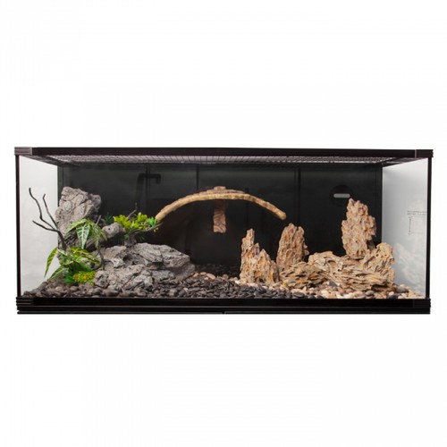Reptile one complete turtle - one,