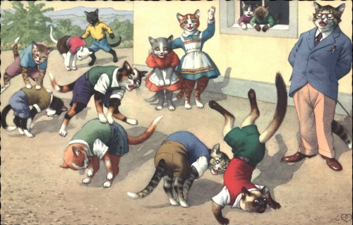Mainzer cat fantasy kittens - cat, in