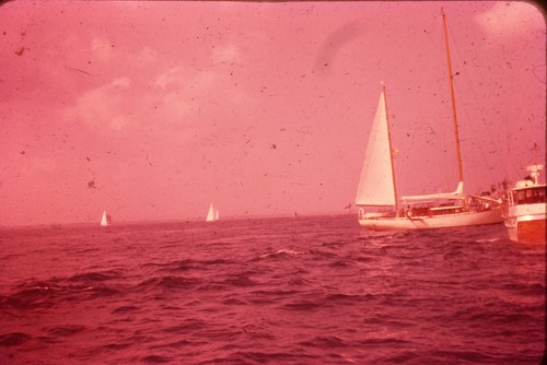 C1960 35mm slide film - c1960's,