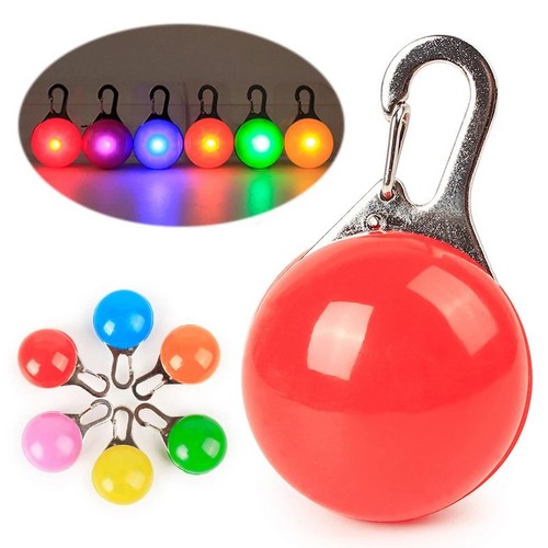 Led dog collar - led,