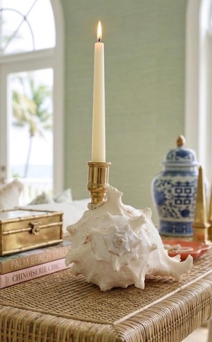 Murex shell candle holder - murex,
