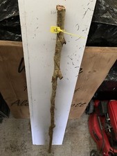 Hazel Heavy TWISTY Twistie STICK WALKING STICK SHANK  Lot S2