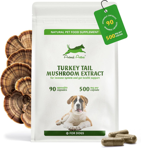 Turkey tail mushroom for - mushroom,