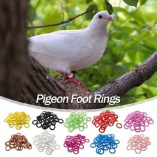 100pcs Reusable Foot Rings