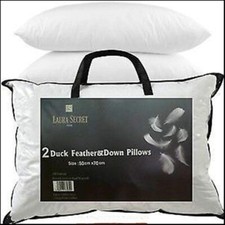 Pack Of 2 Duck Feather & Down