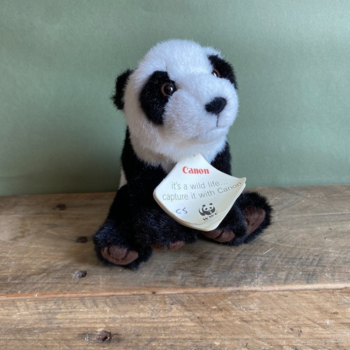Vintage wwf canon anna club - wwf,