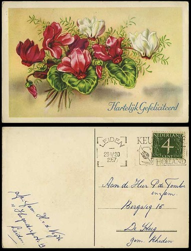 Dutch flowers 1957 old - flowers,