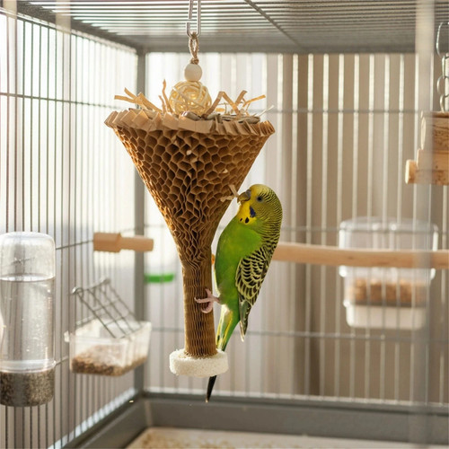 Parrot chew toy - toy, palm