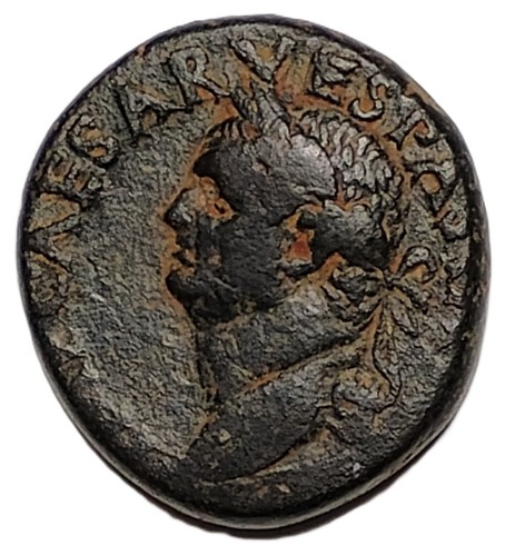 Vespasian provincial bronze - vespasian,