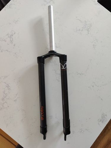 Exotic carbon mtb disc fork - carbon,