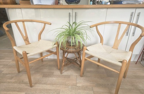 Gorgeous pair scandinavian - of,