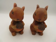 Pair of Adorable Squirrel w