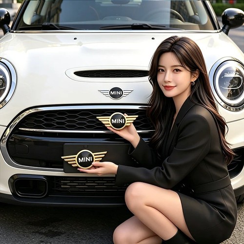 Mini cooper jcw front hood - jcw,