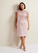 Phase Eight Daisy Lace Rose Dress Overlay Bodice Size 18 RRP £169 Cocktail Guest