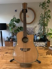 Washburn Dreadnought Electro-Acoustic 12 String Guitar (D46SCE1).
