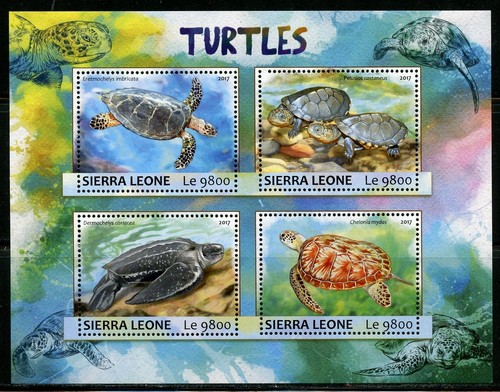 Sierra leone 2017 turtles - sierra,