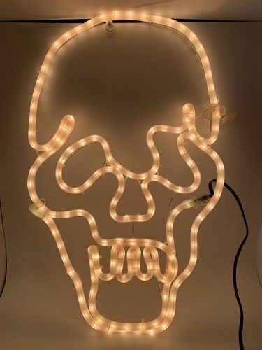 Vintage commercial grade skull - vintage,