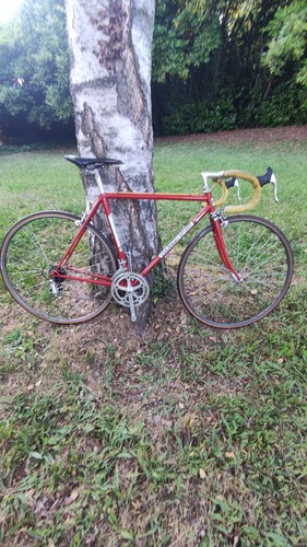 Colnago sport vintage - colnago, road