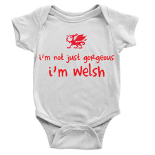I'm Welsh Babygrow Wales Funny