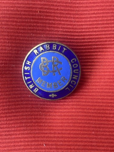 British rabbit council - british,
