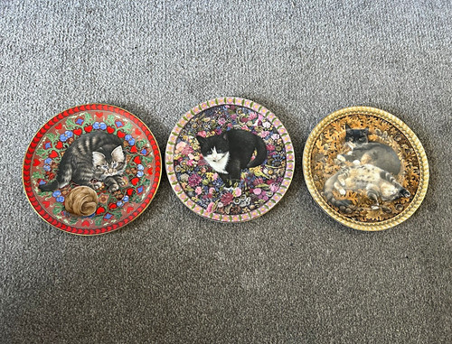 Meet kittens collectors - x3,