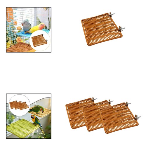 Bird perch stand shelf - bird, playing