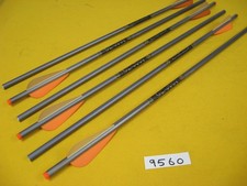 Ten Point Wicked Ridge 6