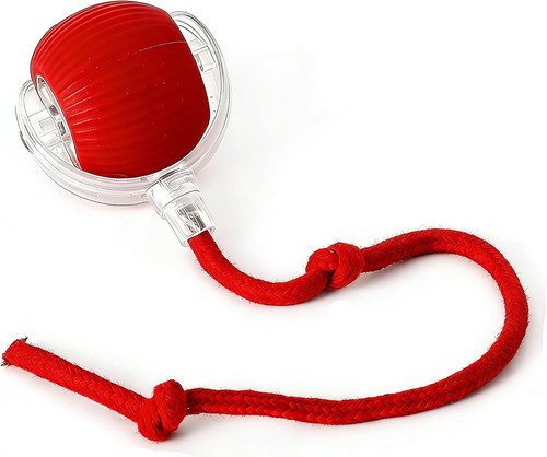 Interactive dog ball smart - interactive, ball,