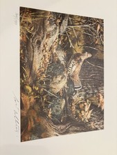 Robert K Abbett Ruffed Grouse