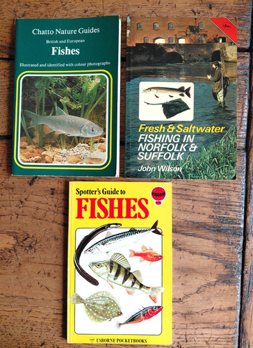 Fishing norfolk suffolk - in, &
